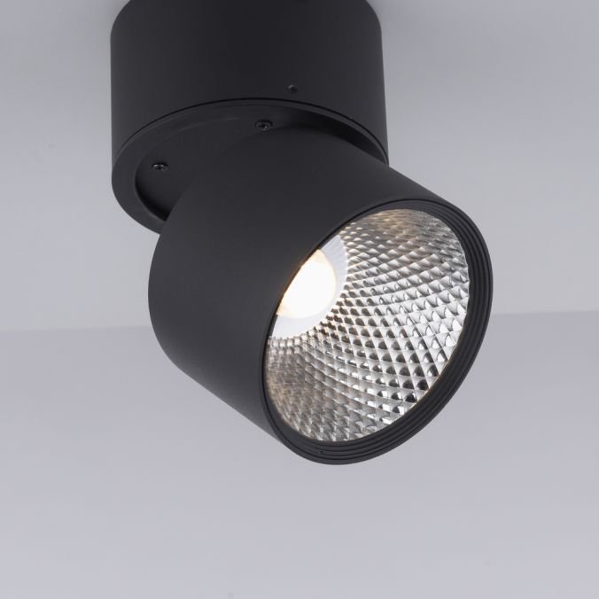 Paul Neuhaus Paul Neuhaus LED Deckenstrahler PURE-NOLA schwarz 1 flammig drehbar dimmbar Exklusive Angebote