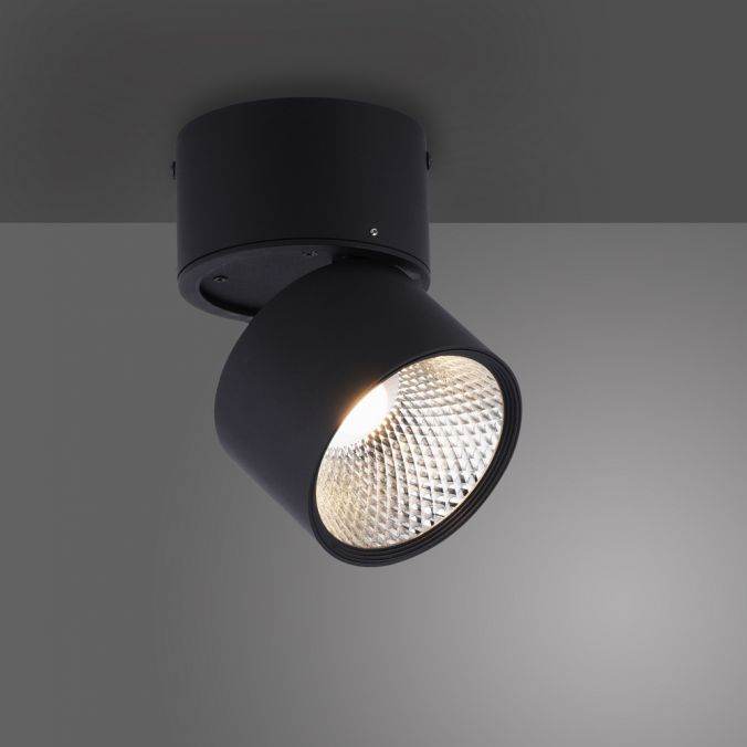 Paul Neuhaus Paul Neuhaus LED Deckenstrahler PURE-NOLA schwarz 1 flammig drehbar dimmbar Exklusive Angebote