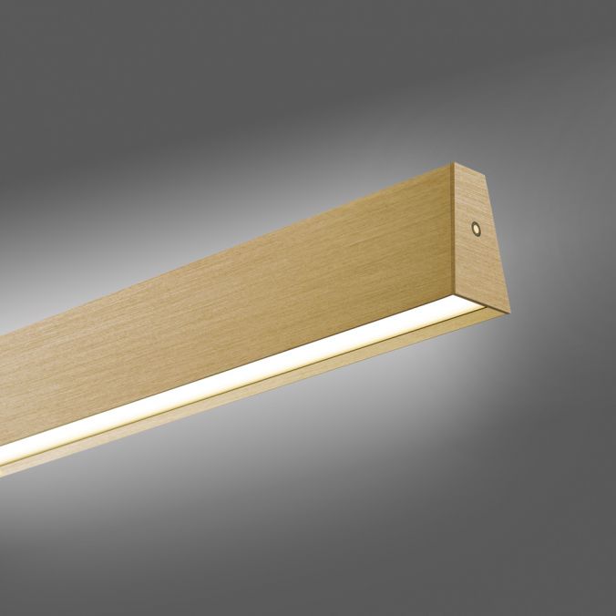 Paul Neuhaus Paul Neuhaus LED Pendelleuchte PURE-E-MOTION messing matt elektrisch Touch Große Rabatte