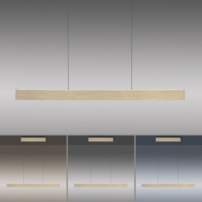Paul Neuhaus Paul Neuhaus LED Pendelleuchte PURE-E-MOTION messing matt elektrisch Touch Große Rabatte