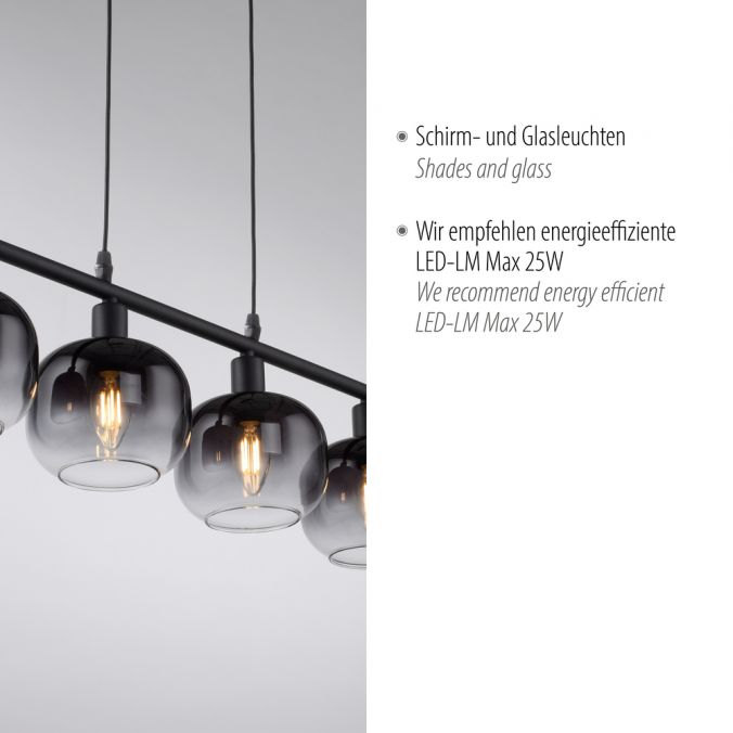 Paul Neuhaus LED Pendelleuchte 4 flammig schwarz Rauchglas modern Wohnlampe Neueste Stile
