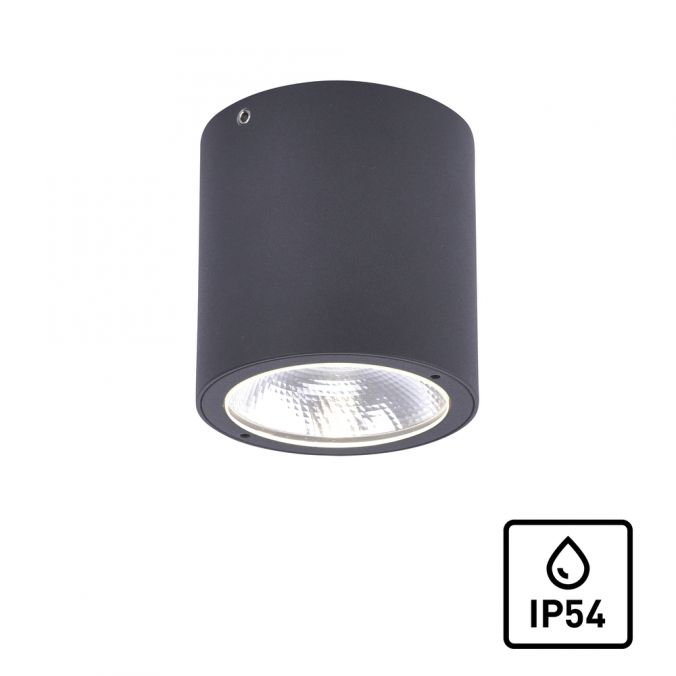 Paul Neuhaus LED-Außenaufbaustrahler, anthrazit, Zylinderform, warmweiße Lichtfarbe