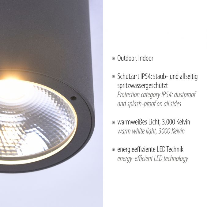 Paul Neuhaus LED-Außenaufbaustrahler, anthrazit, Zylinderform, warmweiße Lichtfarbe Nur noch ein Tag übrig