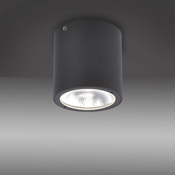 Paul Neuhaus LED-Außenaufbaustrahler, anthrazit, Zylinderform, warmweiße Lichtfarbe Nur noch ein Tag übrig