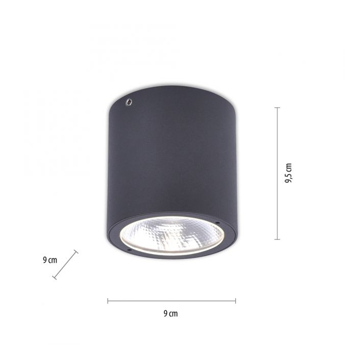 Paul Neuhaus LED-Außenaufbaustrahler, anthrazit, Zylinderform, warmweiße Lichtfarbe Nur noch ein Tag übrig