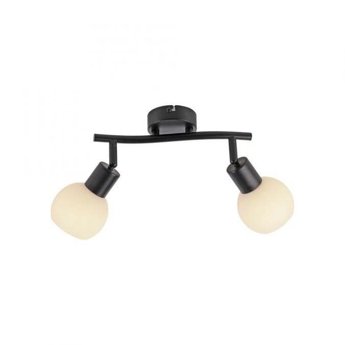 Paul Neuhaus LED Deckenleuchte 2 flammig schwarz Spot drehbar zeitloses Design