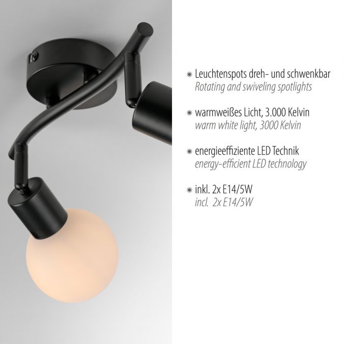 Paul Neuhaus LED Deckenleuchte 2 flammig schwarz Spot drehbar zeitloses Design 2025