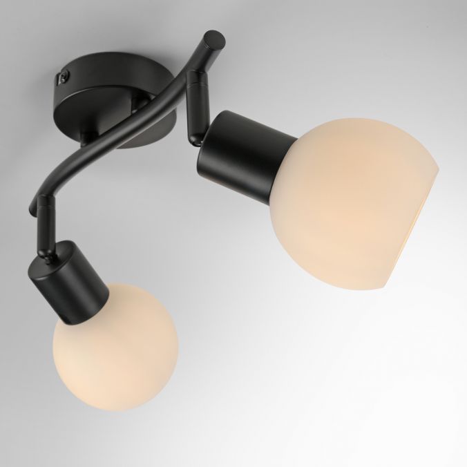 Paul Neuhaus LED Deckenleuchte 2 flammig schwarz Spot drehbar zeitloses Design 2025