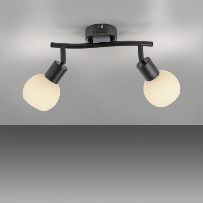Paul Neuhaus LED Deckenleuchte 2 flammig schwarz Spot drehbar zeitloses Design 2025