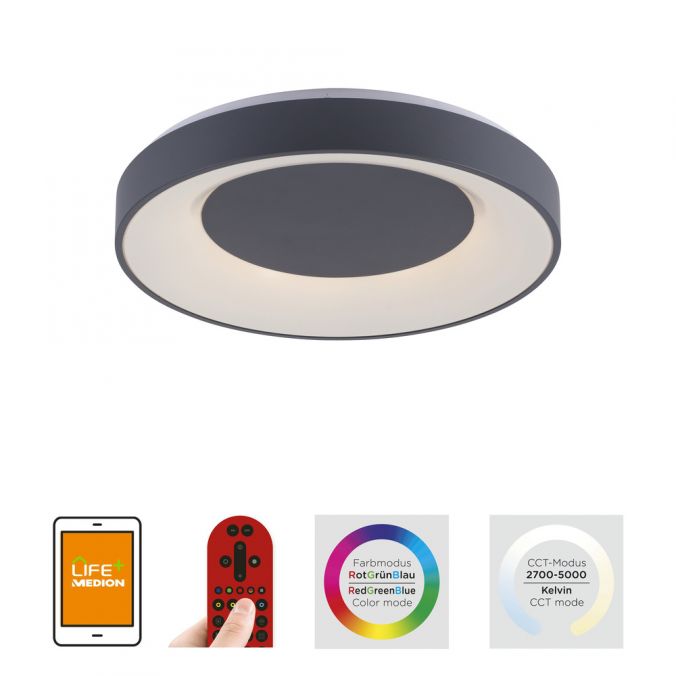 Paul Neuhaus LED-Deckenleuchte, anthrazit, dimmbar, App, Fernbedienung