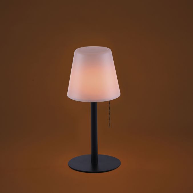 Paul Neuhaus LED Tischleuchte, schwarz, dimmbar, modern, inkl. Zugschalter, kabellos Tiefpreis