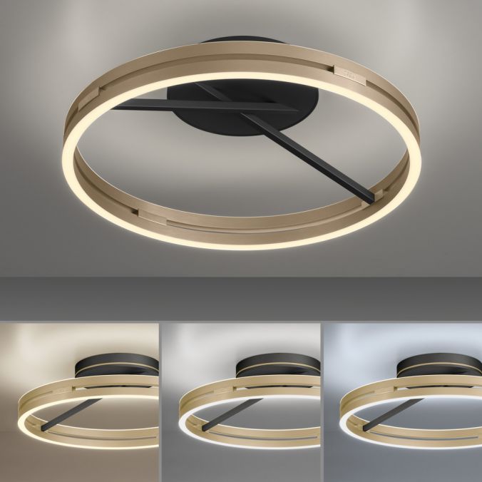 Paul Neuhaus Paul Neuhaus LED Deckenleuchte PURE Loop schwarz-messing Fernbedienung Kostenlose Rückgabe
