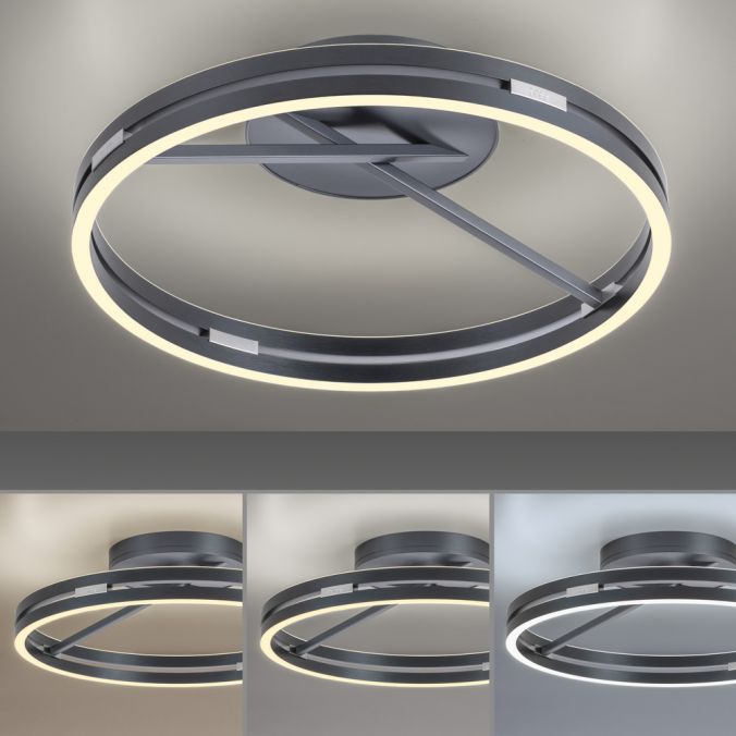 Paul Neuhaus Paul Neuhaus LED Deckenleuchte PURE Loop grau Fernbedienung Begrenzte Freigabe