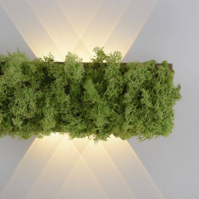 Paul Neuhaus LED Wandleuchte Islandmoos Lichtspiel warmweiß Licht Wohnraumlampe Nur noch ein Tag übrig