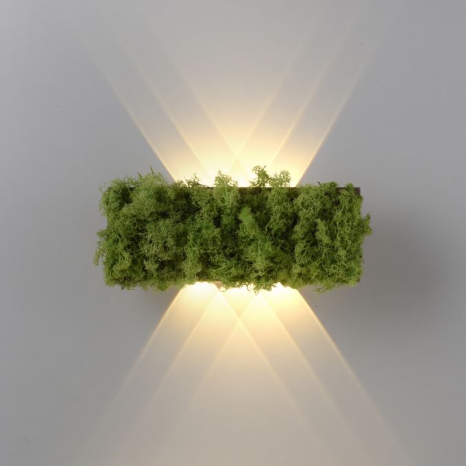 Paul Neuhaus LED Wandleuchte Islandmoos Lichtspiel warmweiß Licht Wohnraumlampe Nur noch ein Tag übrig