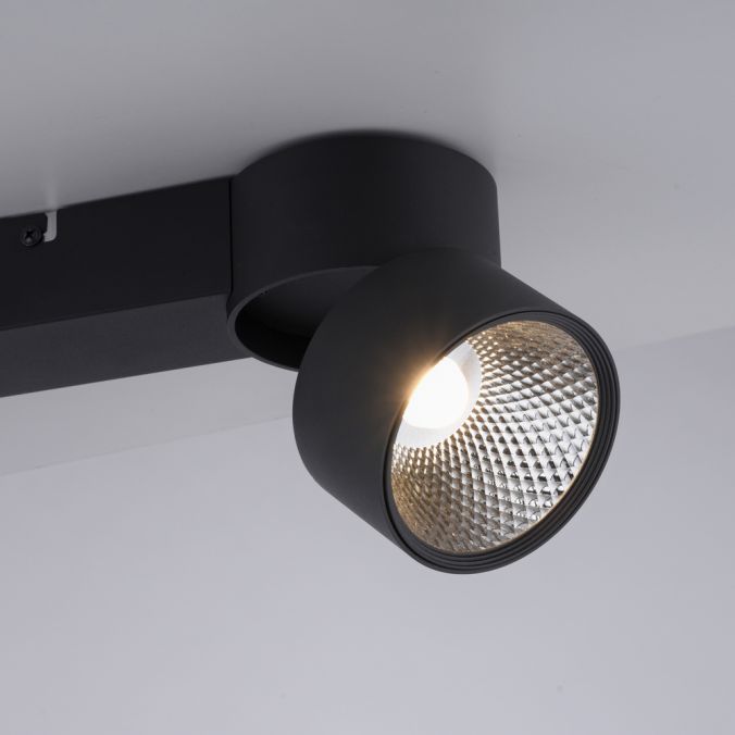 Paul Neuhaus Paul Neuhaus LED Deckenleuchte PURE-NOLA schwarz 2 flammig drehbar dimmbar Blitzverkäufe