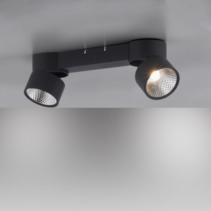 Paul Neuhaus Paul Neuhaus LED Deckenleuchte PURE-NOLA schwarz 2 flammig drehbar dimmbar Blitzverkäufe