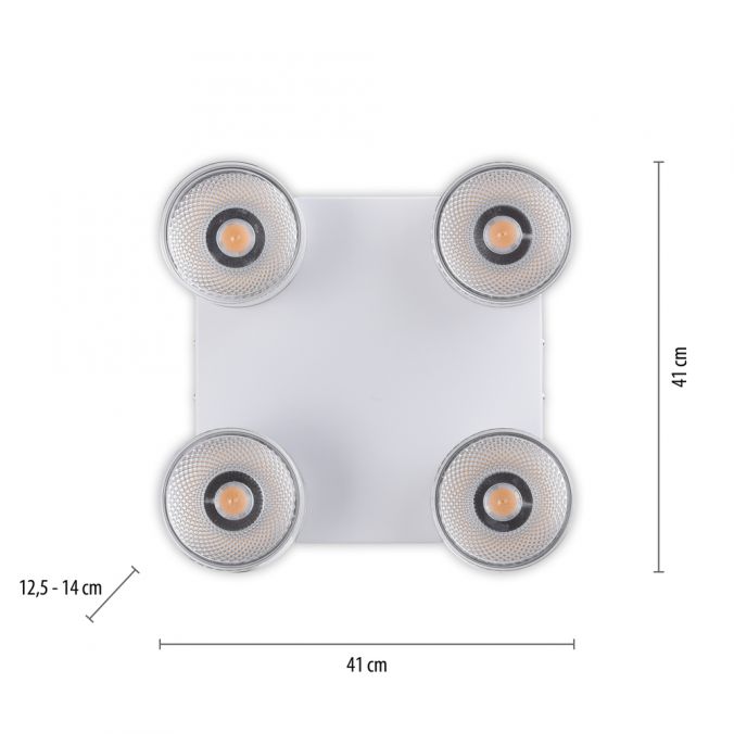 Paul Neuhaus Paul Neuhaus LED Deckenleuchte PURE-NOLA weiß 4 flammig drehbar dimmbar Fabrik Onlineshop