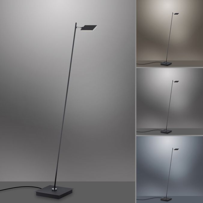 Paul Neuhaus Paul Neuhaus PURE MIRA LED Stehleuchte anthrazit dimmbar Fußbschalter Fabrikpreis