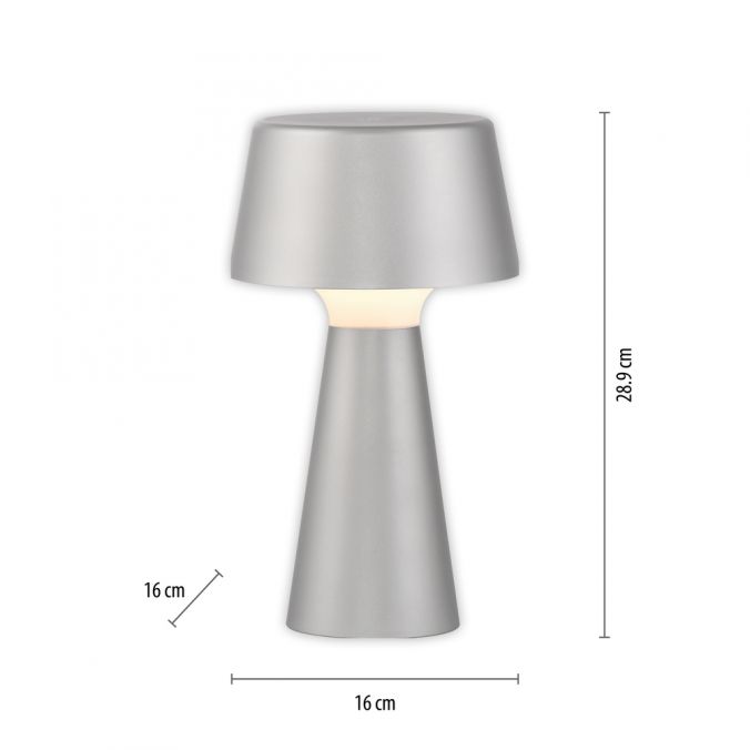 Paul Neuhaus LED Akkuleuchte Tischleuchte silber Touchdimmer IP54 USB Innen-Außenbereich Preisnachlass