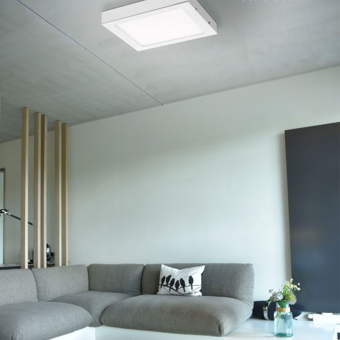 Paul Neuhaus LED-Einbauleuchte, weiß, quadratisch, warmweiß, dimmbar, blendfrei, modern Jubiläumsangebot