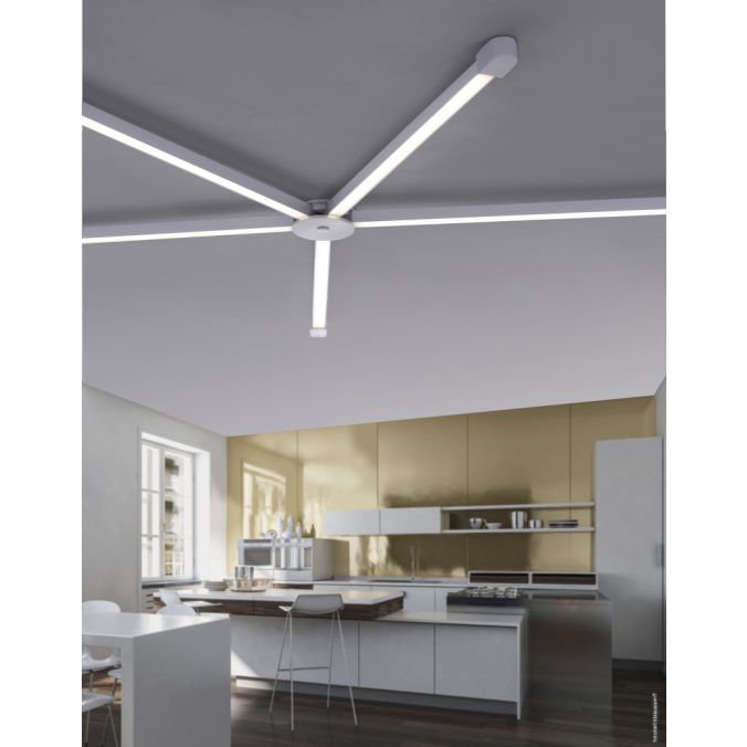 Paul Neuhaus Paul Neuhaus, Q-SPIDER, Lichtprofil, dimmbar, Fernbedienung, Smart-Home Rabatte dieses Monats