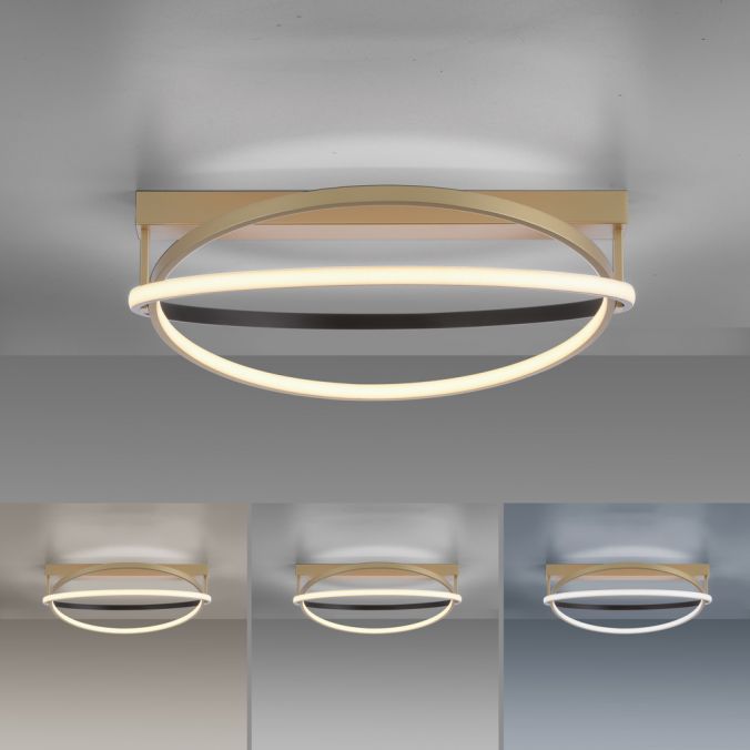 Paul Neuhaus Paul Neuhaus LED Deckenleuchte Q-BELUGA messing matt dimmbar Smart Home Hotsell