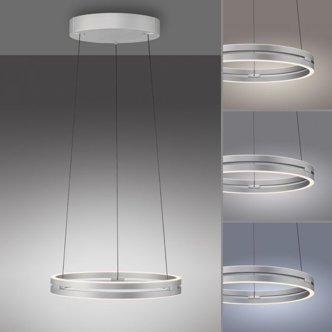 Paul Neuhaus Paul Neuhaus LED Pendelleuchte PURE E-Loop aluminium e-LIFT Online Shopping