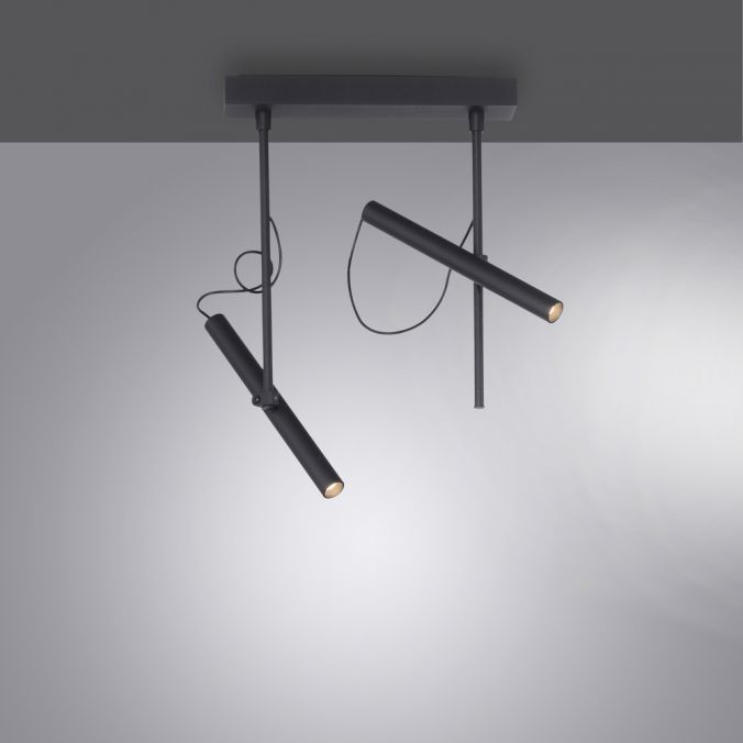 Paul Neuhaus Paul Neuhaus PURE TUTUA LED Deckenleuchte 2 flammig schwarz drehbar Exklusive Angebote