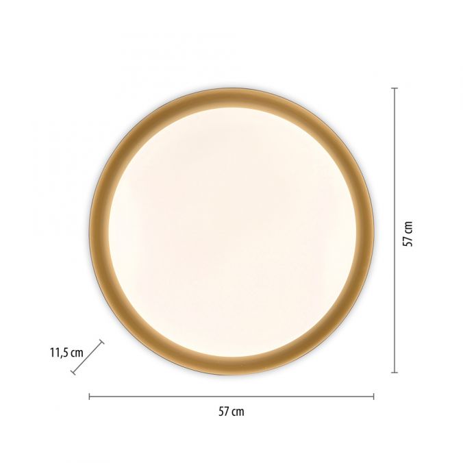 Paul Neuhaus LED Deckenleuchte D=57 schwarz gold dimmbar per Fernbedienung CCT Schlussverkauf