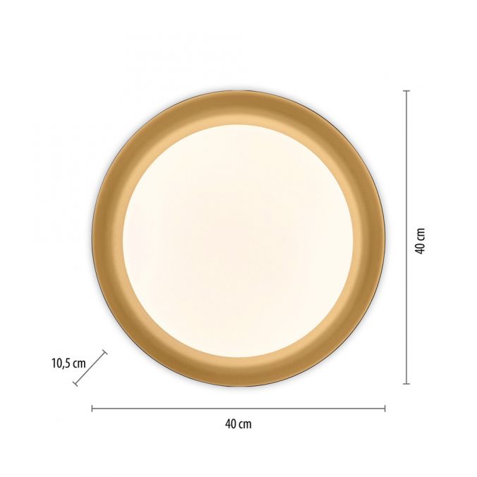 Paul Neuhaus LED Deckenleuchte D=40 schwarz dimmbar per Fernbedienung CCT Günstiger Verkauf