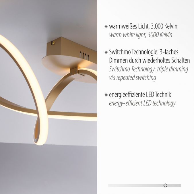 Paul Neuhaus LED-Deckenleuchte, messing-matt, dimmbar, IP20, Innenleuchte Valentinstagsangebot