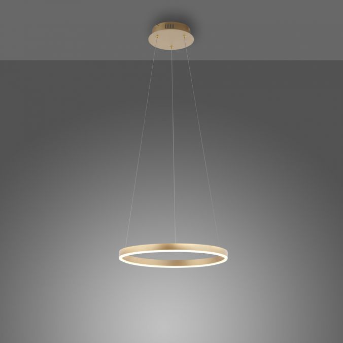 Paul Neuhaus LED Pendelleuchte messing matt rund Ø40cm dimmbar Switchmo warmweiß Jubiläumsangebot