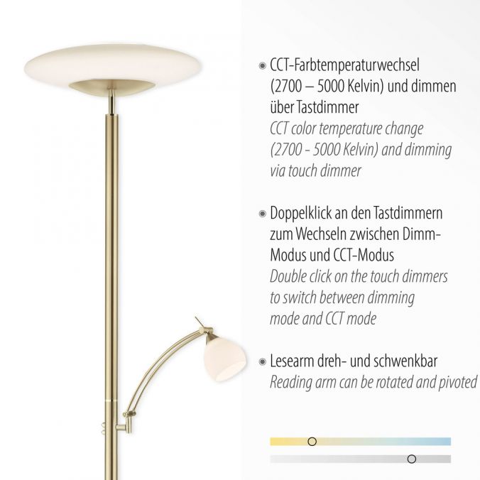Paul Neuhaus LED Stehleuchte messing matt farbig Tastdimmer Lesearm drehbar Leselampe Tiefpreis