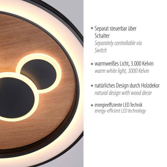 Paul Neuhaus LED Deckenleuchte rund Holz Natur Eiche Serienschaltung steuerbar Bis zu 65% Rabatt