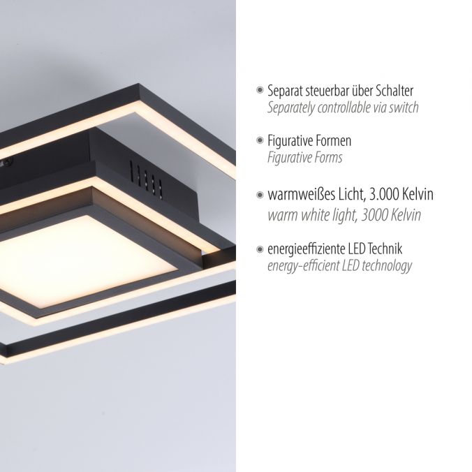 Paul Neuhaus LED Deckenleuchte schwarz quadratisch modern steuerbar Innenlampe Super Rabatt