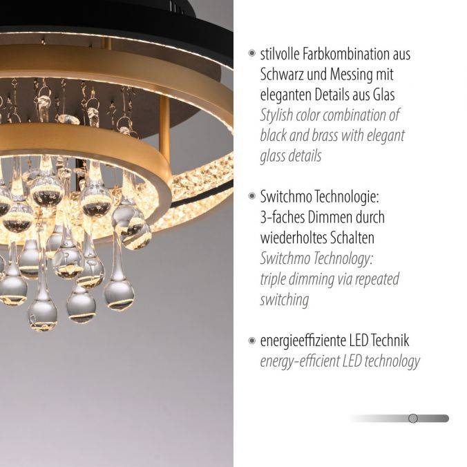 Paul Neuhaus Paul Neuhaus Deckenleuchte schwarz messing Kristallanhänger dimmbar zollfrei