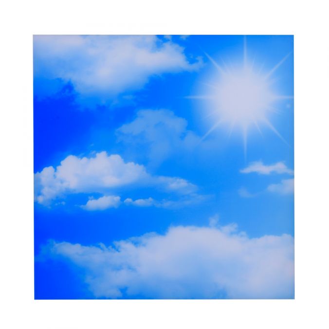 Paul Neuhaus LED Panel, weiß,60x60cm, rahmenlos, Wolkenmotiv, Lichtfarbsteuerung Online