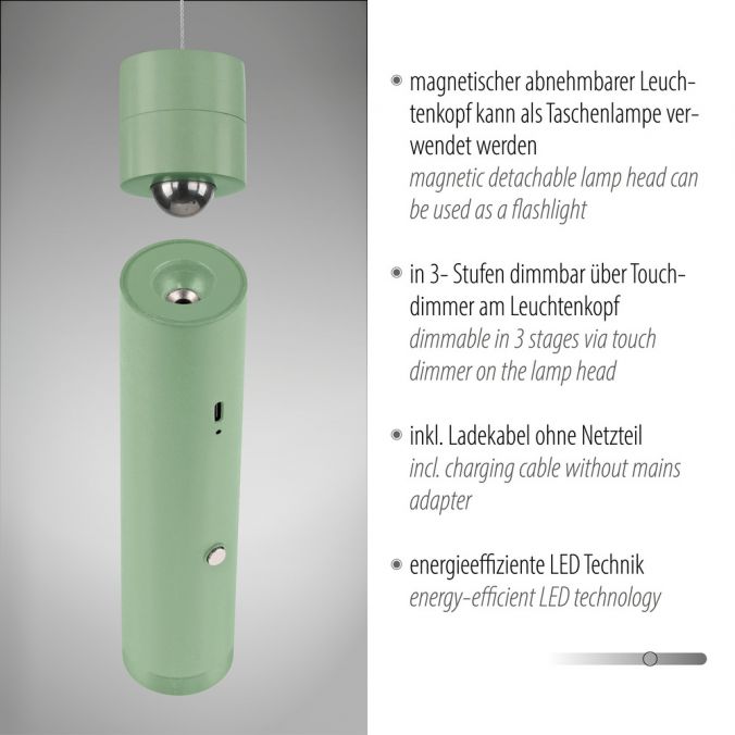 Paul Neuhaus LED Pendelleuchte grün höhenverstellbar magnetischer Kopf Akku im Angebot