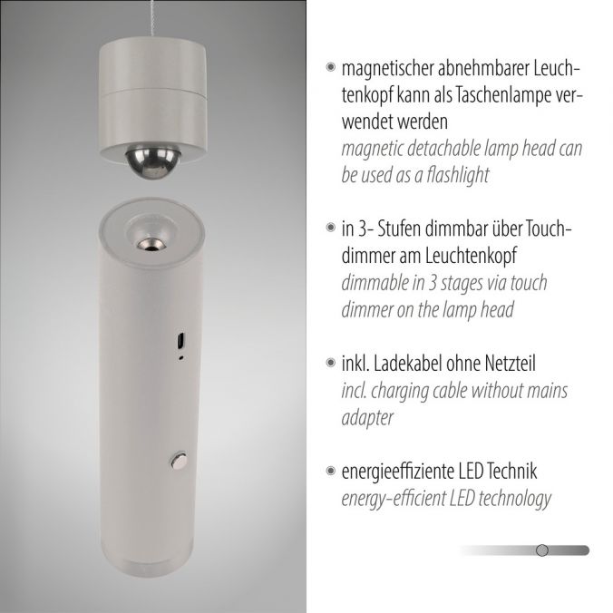 Paul Neuhaus LED Pendelleuchte greige höhenverstellbar magnetischer Kopf Akku Schlussverkauf