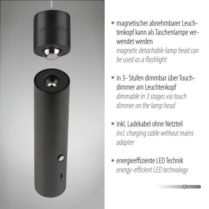 Paul Neuhaus LED Pendelleuchte schwarz höhenverstellbar magnetischer Kopf Akku Günstiger Verkauf
