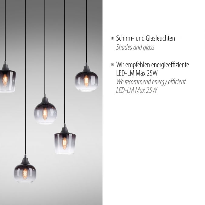 Paul Neuhaus LED Pendelleuchte schwarz 8 flammig Rauchglas modern Wohnlampe Limitierter Zeitrabatt