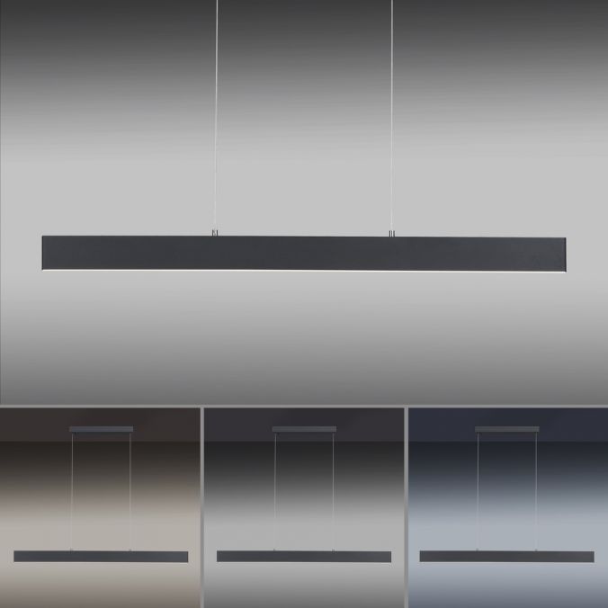 Paul Neuhaus LED Pendelleuchte, anthrazit, lineares Design, höhenverstellbar, modern Bis zu 50% Rabatt