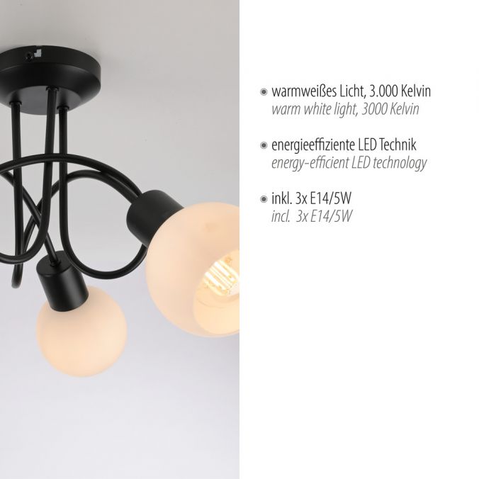 Paul Neuhaus LED Deckenleuchte schwarz 3 flammig Opalglas Wohnraumleuchte Black Friday Preise