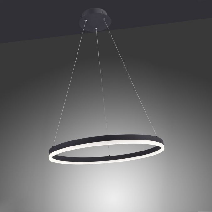 Paul Neuhaus LED Pendelleuchte, anthrazit, runde Form, dimmbar, Memory Funktion, modern Verkauf