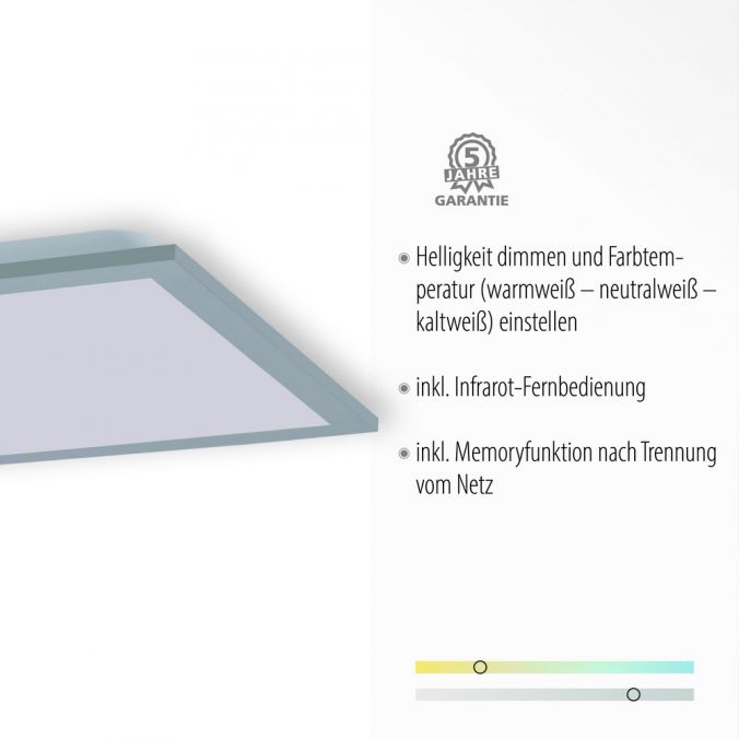 Paul Neuhaus LED-Panel, Rahmen silberfarbig, 120x30cm, platzsparend, dimmbar Rabatt