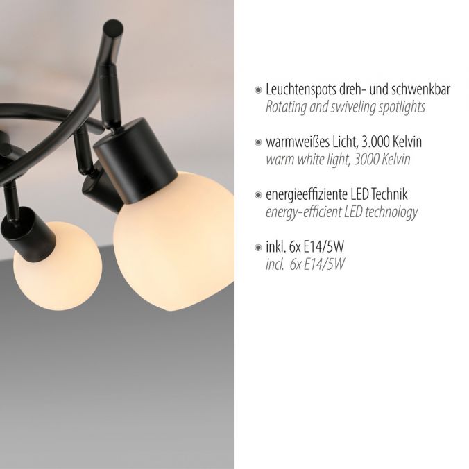 Paul Neuhaus LED Deckenleuchte 6 flammig schwarz Spot drehbar Opalglas zeitlos Valentinstagsangebot