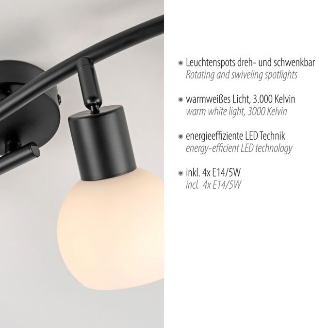 Paul Neuhaus LED Deckenleuchte schwarz 4 flammig schwenkbar Opalglas Spots Schlafzimmer Flur Jubiläumsangebot