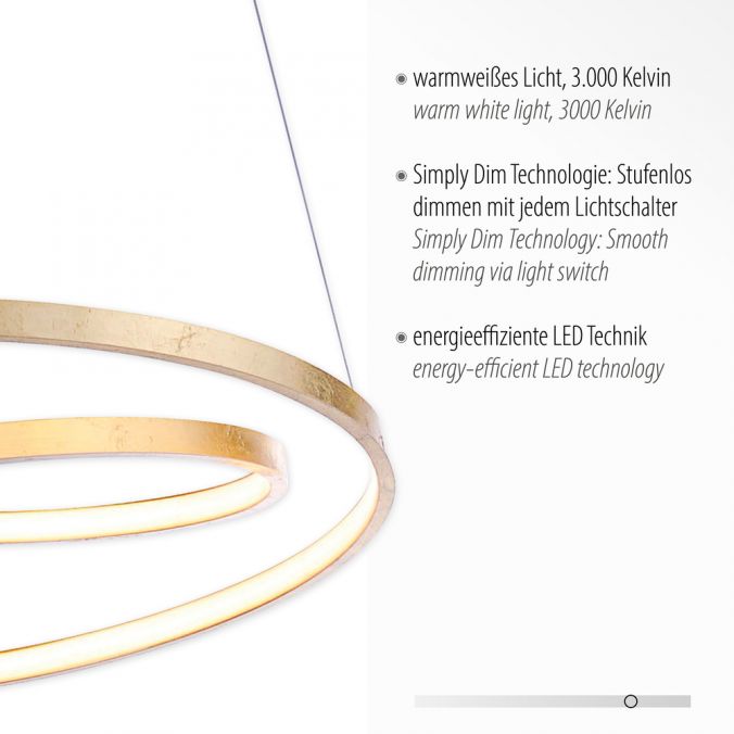 Paul Neuhaus LED-Pendelleuchte, gold, geschwungener Leuchtring, Dimmfunktion, modern Blitzangebot