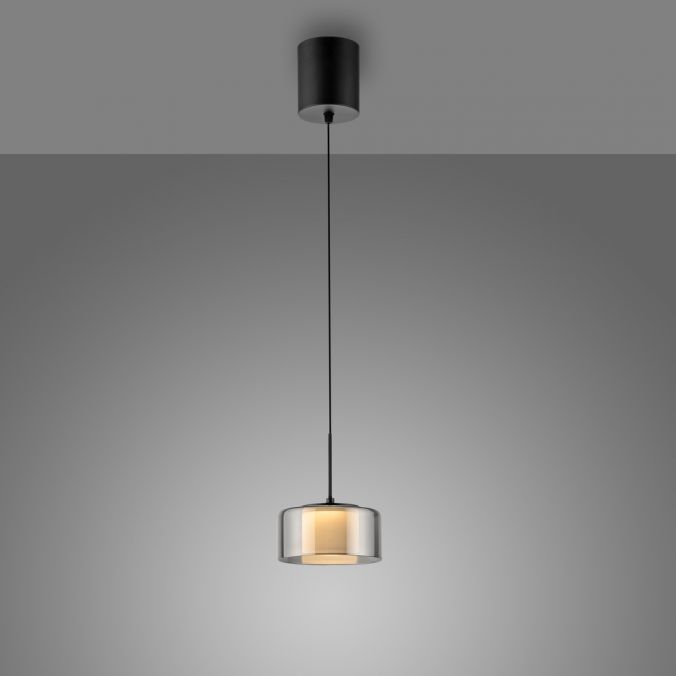 Paul Neuhaus Pendelleuchte LED RIKA 1 flammig schwarz Comfort Lift Simply Dim Riesige Ersparnisse